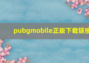 pubgmobile正版下载链接