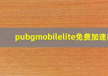 pubgmobilelite免费加速器