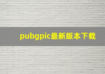 pubgpic最新版本下载