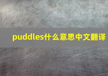 puddles什么意思中文翻译