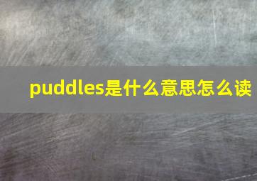 puddles是什么意思怎么读