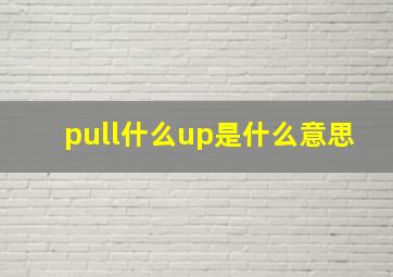 pull什么up是什么意思