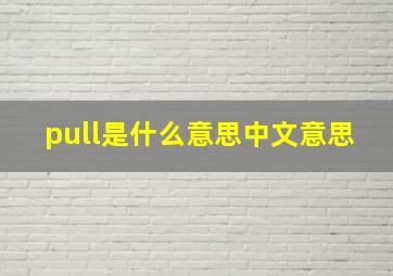 pull是什么意思中文意思