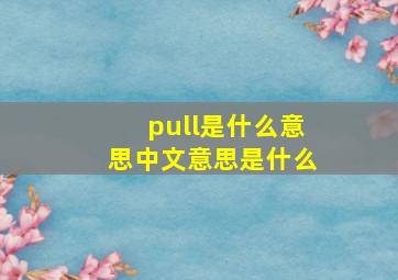 pull是什么意思中文意思是什么