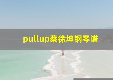 pullup蔡徐坤钢琴谱