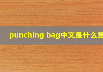 punching bag中文是什么意思