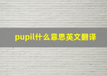 pupil什么意思英文翻译