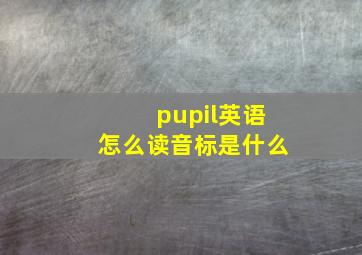 pupil英语怎么读音标是什么