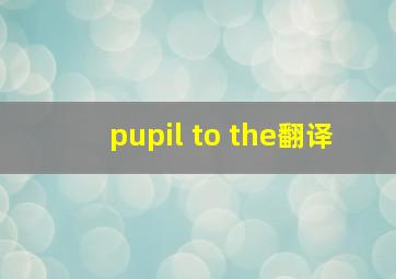 pupil to the翻译