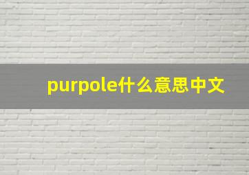 purpole什么意思中文