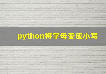 python将字母变成小写