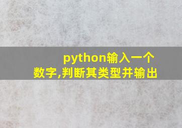 python输入一个数字,判断其类型并输出