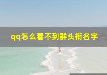 qq怎么看不到群头衔名字