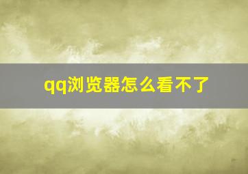 qq浏览器怎么看不了