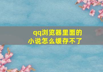 qq浏览器里面的小说怎么缓存不了