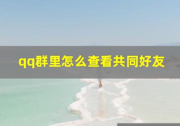 qq群里怎么查看共同好友