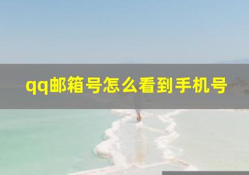 qq邮箱号怎么看到手机号