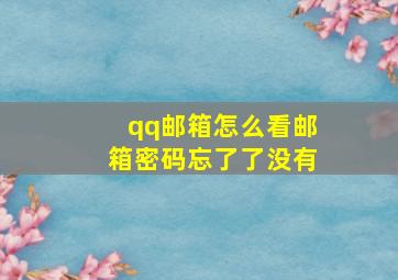 qq邮箱怎么看邮箱密码忘了了没有