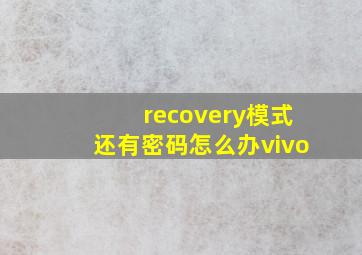 recovery模式还有密码怎么办vivo