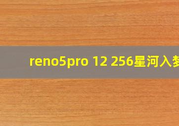 reno5pro 12+256星河入梦