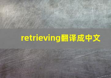 retrieving翻译成中文