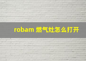 robam 燃气灶怎么打开