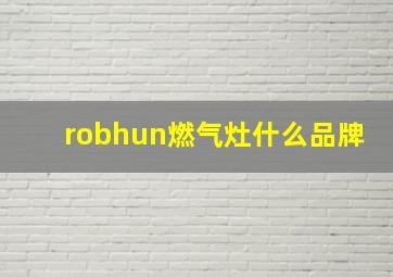 robhun燃气灶什么品牌