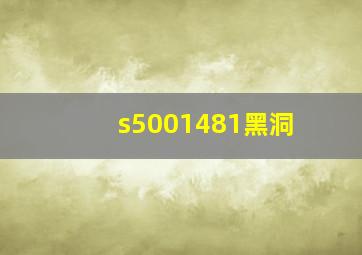 s5001481黑洞