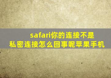 safari你的连接不是私密连接怎么回事呢苹果手机