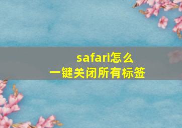 safari怎么一键关闭所有标签