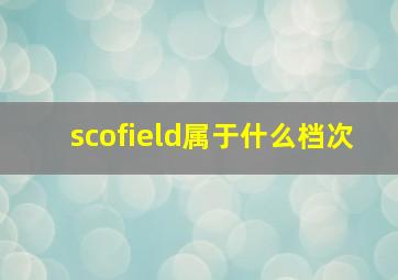 scofield属于什么档次