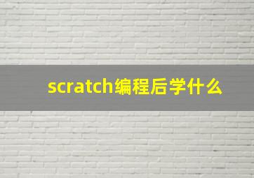 scratch编程后学什么