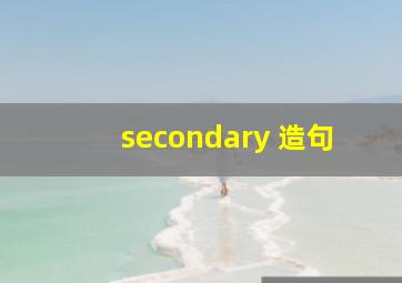 secondary 造句