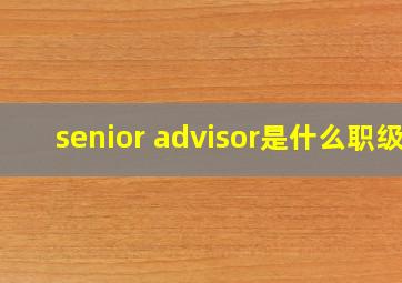 senior advisor是什么职级