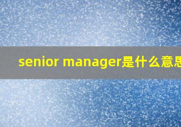 senior manager是什么意思啊