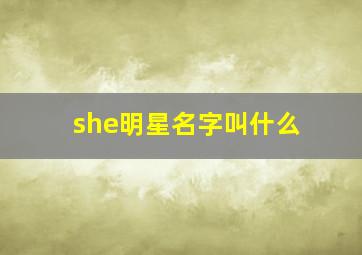 she明星名字叫什么