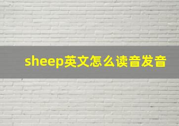 sheep英文怎么读音发音