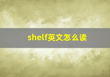 shelf英文怎么读