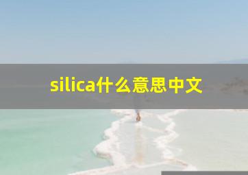 silica什么意思中文