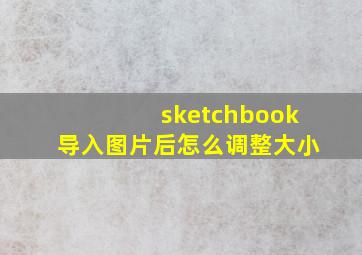 sketchbook导入图片后怎么调整大小