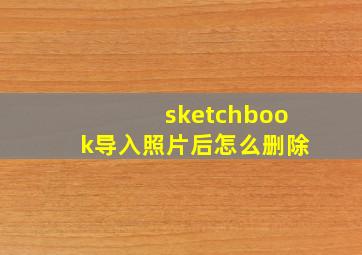 sketchbook导入照片后怎么删除