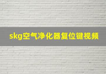 skg空气净化器复位键视频