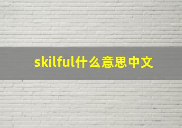 skilful什么意思中文