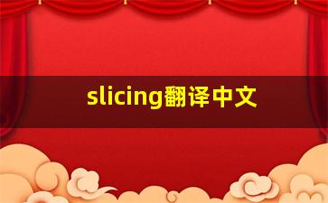 slicing翻译中文