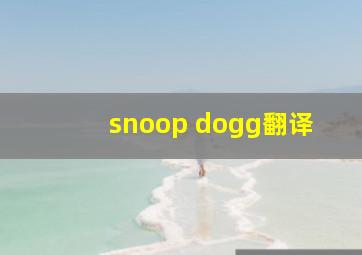 snoop dogg翻译