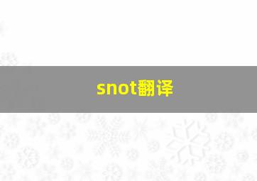 snot翻译