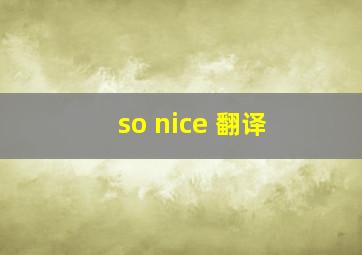 so nice 翻译