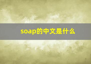 soap的中文是什么