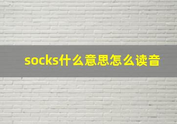 socks什么意思怎么读音