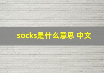 socks是什么意思 中文